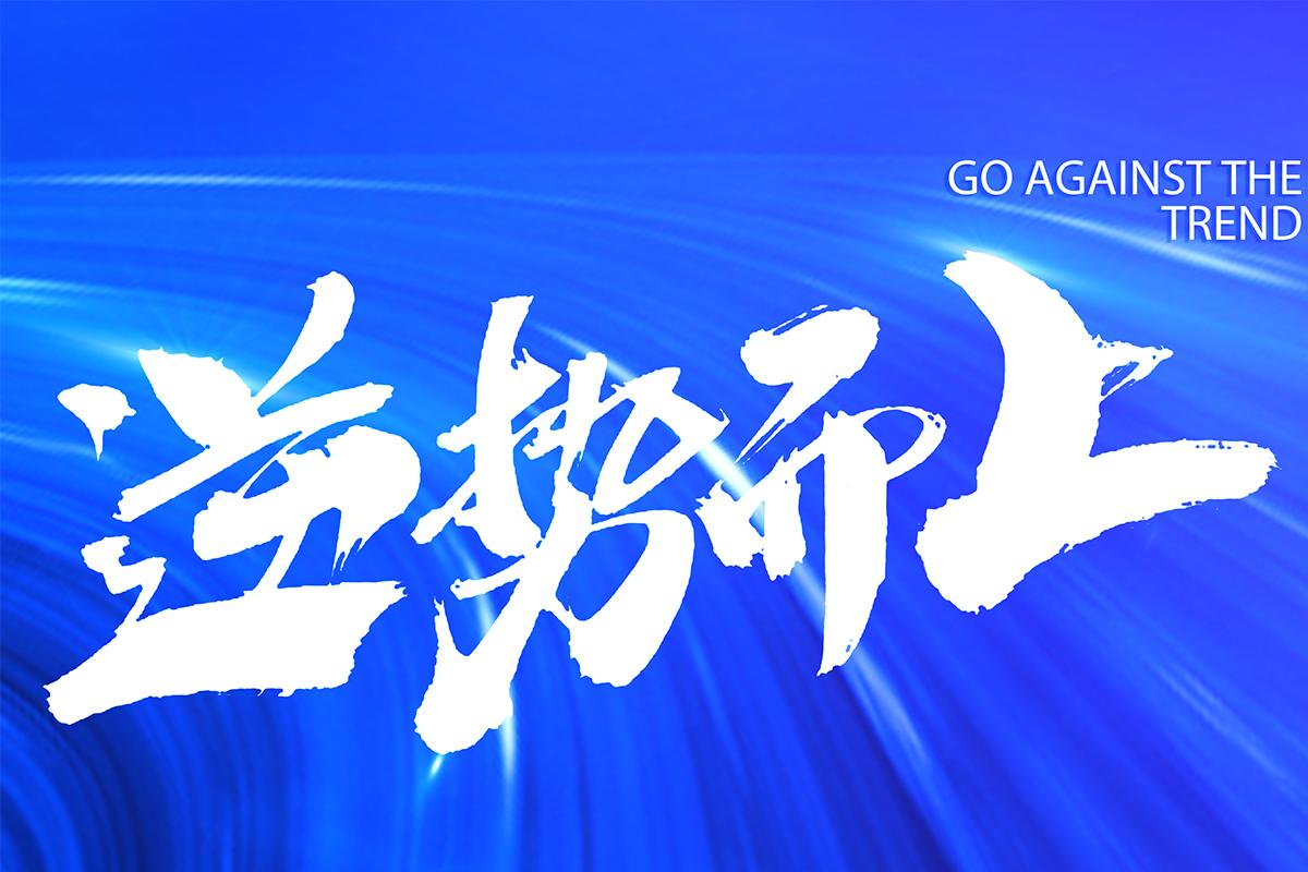 逆势而上|2022致敬每一位开企人（下）
